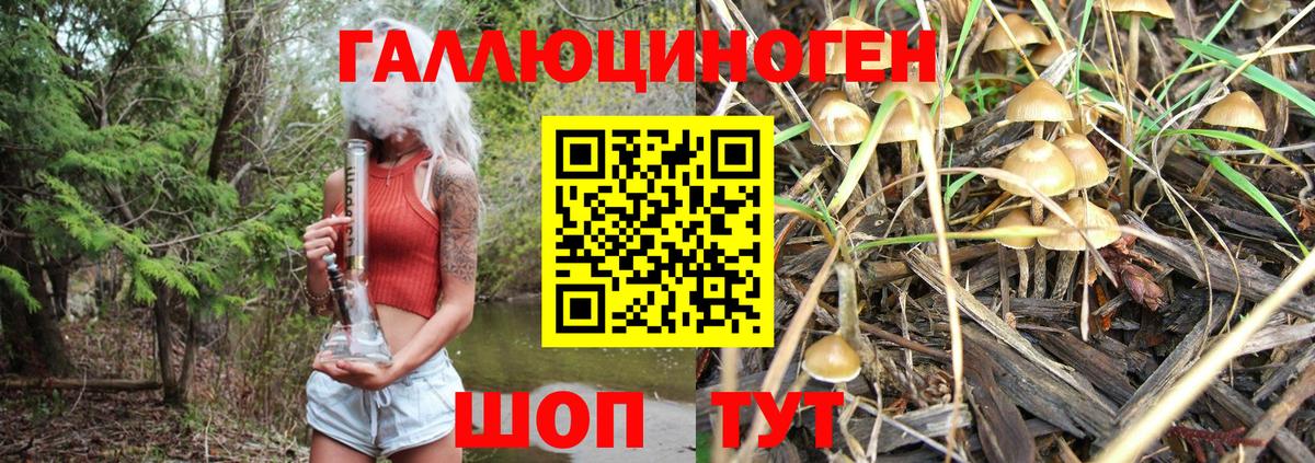купить наркотики цена  Галлюциногенные грибы Magic Shrooms  Вход с VPN  Сочи 