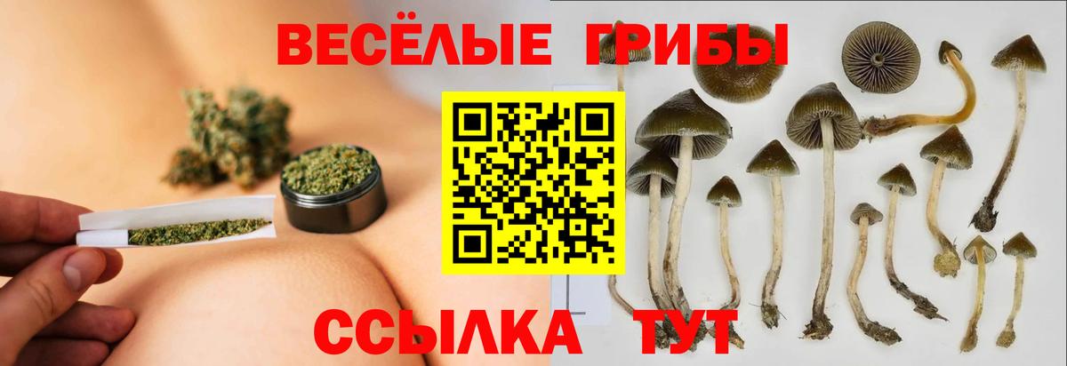Галлюциногенные грибы мухоморы Сочи